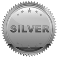 Silver-Icon